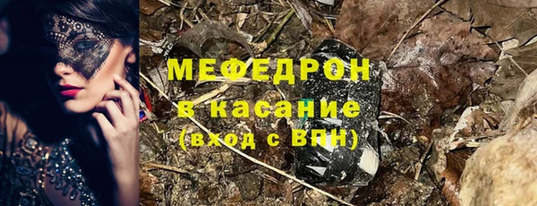 индика Козловка