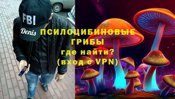 индика Козловка