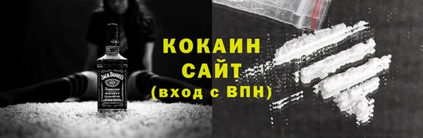 индика Козловка