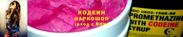 индика Козловка