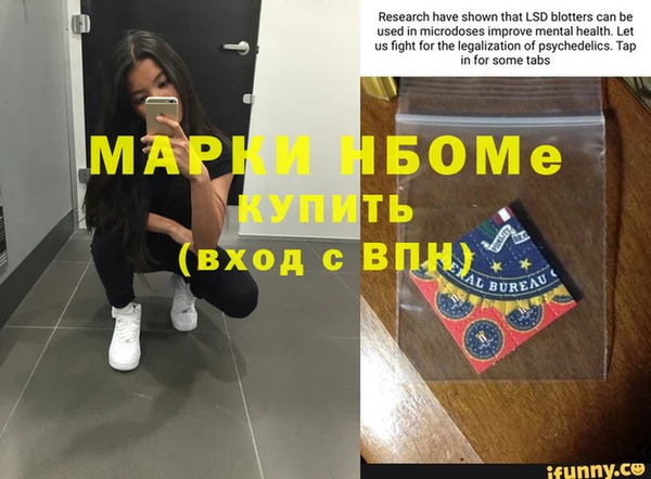 индика Козловка