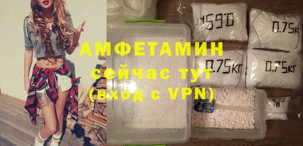 индика Козловка