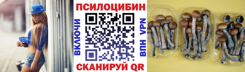 Галлюциногенные грибы GOLDEN TEACHER  Купить  Дубовка 